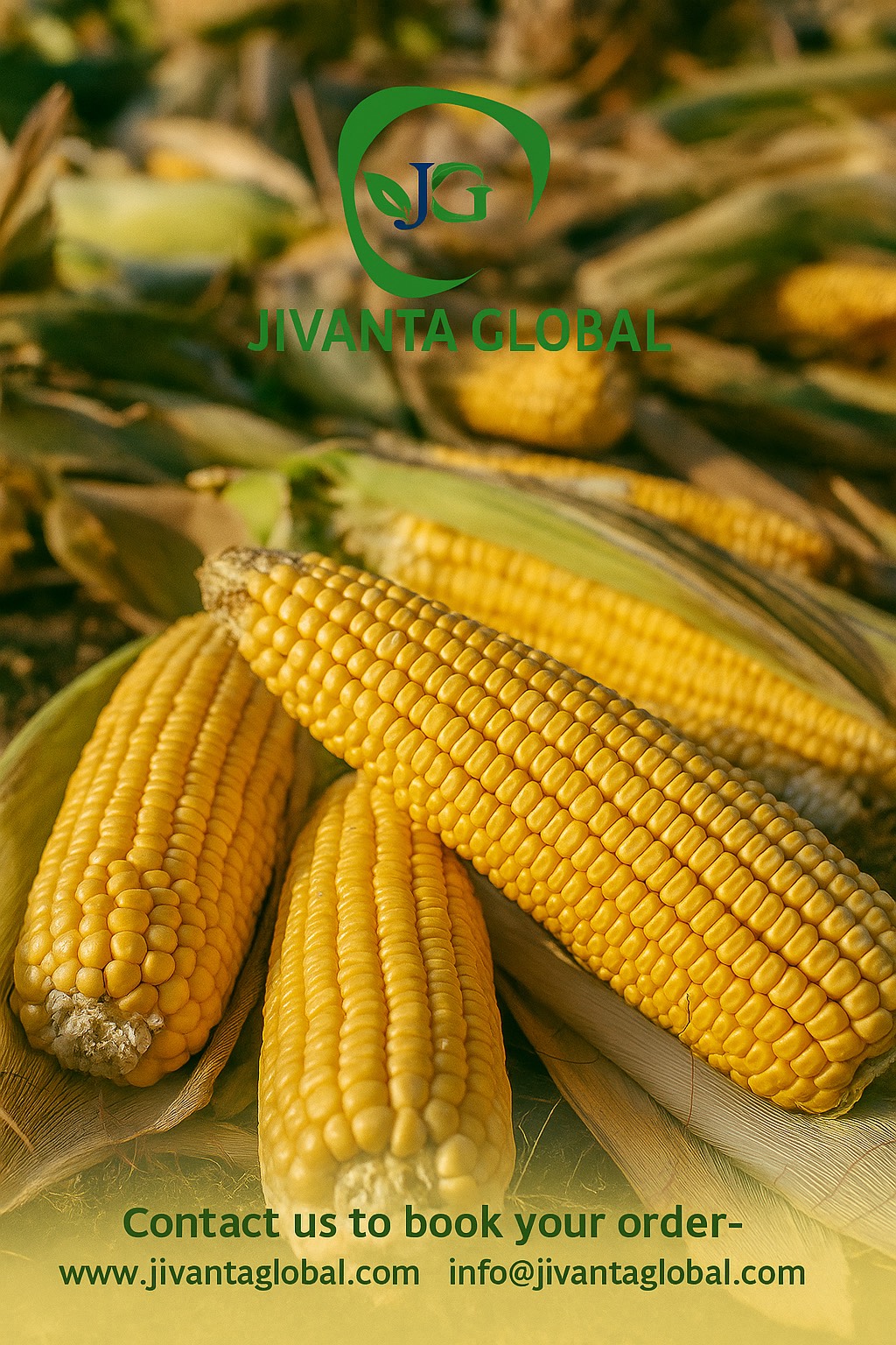 Export Grade Cereals